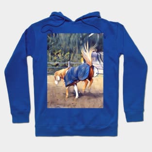 American Paint Horse Hoodie